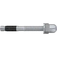 Fischer 564690 FAZ II Plus 12/20 H Boutanker 119 mm 12 mm 20 stuk(s)