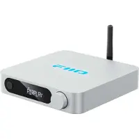 Fiio SR11 Zilver