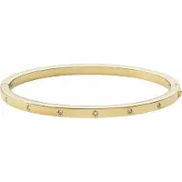 Fossil Armband goud / transparant