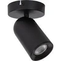 TRIO Punch Ceiling Spot Black