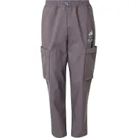 Adidas Sportbroek 'Mercedes - AMG Petronas Formula One Team' grijs / mintgroen