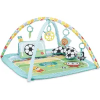 Bright Starts Baby activity gym grip & kick - - vanaf 0 maanden