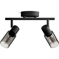 Philips Palms Spot - Plafondspot met twee lichtpunten - Met gerookt glas - Kleine fitting E14