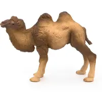 Papo Speelfiguur - Woestijndier - Kameel