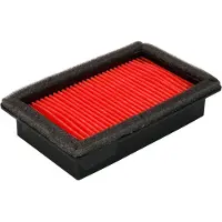 Champion Parts CAF3613 Luchtfilter