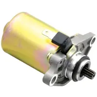 Tecnium Piaggio/peugeot 50cc Startmotor