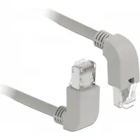 DeLOCK 85862, 1 meter, Cat6, S/FTP (S-STP), RJ-45, RJ-45, grijs