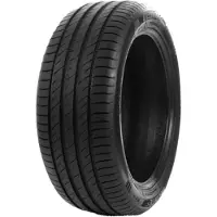 Delinte DS2 205/55 R16 91H zomerbanden