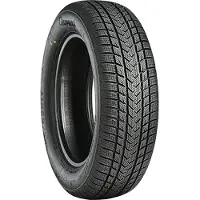 Gripmax 1x SUREGRIP eWINTER XL winterband 235/50 R17 100V XL M+S 3PMSF