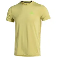 Joma Indoor Gym Short Sleeve T-shirt Groen L Man