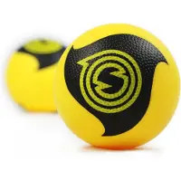 Spikeball Bal Pro (x2)