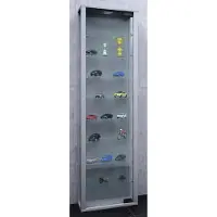 VCM Vitrinekast wandvitrine Edana maxi met LED zilver hangend of staand