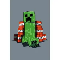 Disney Minecraft fleece deken Creeper - 110x140 cm