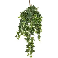 Mica Decorations Kunsthangplant Klimop Groen / Wit H 80 Cm
