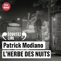 Gallimard L'herbe des nuits - Patrick Modiano
