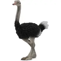 Collecta Figurine - Struisvogel - (L) - Wilde Dieren - Handgeschilderd - Miniatuur