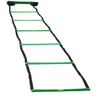 Prince Training Ladder