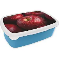MuchoWow Broodtrommel Blauw - Lunchbox Rood - Appels - Fruit - Brooddoos 18x12x6 cm - Brood lunch box - Broodtrommels voor kinderen en volwassenen
