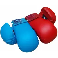 Arawaza Karate-handschoenen (mitts) | Blauw (Maat: M)