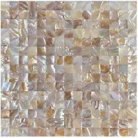 BES LED Zelfklevende Mozaïek Tegel - Afimera Mother of Pearl Shell Tiles - Beige - 305x305x3.3mm