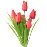 Boltze Steelbloem tulp rood 31 cm