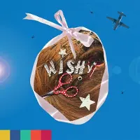 Konkurrent Wishy - Paradise On Planet Popstar (CD)