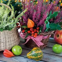 Ambiente Lunch Servetten - Heather Baskets