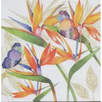 Ppd - Lunch servetten - Parrot Flower