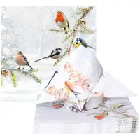 Ambiente Servetten Tuinvogels - 40x stuks - 33 cm - roodborstje/pimpelmees/vink/staartmees/boomklever