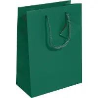 Sigel Geschenktas Klein GT501 157 g (Geschenktasje)