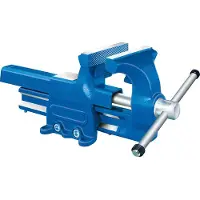 Format Parallelbankschroef met aambeeldvlak 120mm