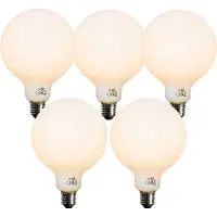LUEDD Set van 5 E27 dimbare LED lamp opaal G125 5W 450 lm 2200K