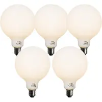 LUEDD Set van 5 E27 dimbare LED lampen Opaal G125 5W 450 lm 3000K