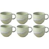 Villeroy & Boch Henkelbecher Perlemor Alga 290 ml Set van 6