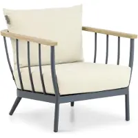 Apple Bee Condor loungestoel