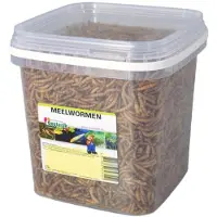 Suren Collection Meelwormen 2,5 liter voer