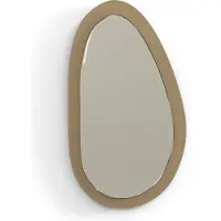 Spinder Design spiegel (20x34,5x2 cm)