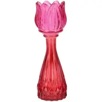 Daan Kromhout Bicolore dutch pink mix tulip vase 7x22cm