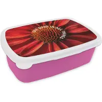 MuchoWow Broodtrommel Roze - Lunchbox Close up - Bloem - Quote - Rood - Brooddoos 18x12x6 cm - Brood lunch box - Broodtrommels voor kinderen en volwassenen
