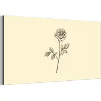 MuchoWow Aluminium schilderij 40x20 cm - Wanddecoratie metaal - Illustratie - Zwart - Roos - Metalen muurdecoratie woonkamer - Decoratie industrieel - Foto op dibond - Industriële accessoires slaapkamer