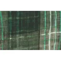 Madison Zitkussen 46x48 Johnny green