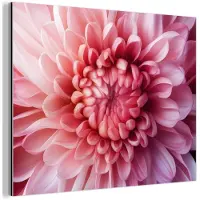MuchoWow Aluminium schilderij 80x60 cm - Wanddecoratie metaal - Dahlia - Bloem - Close up - Roze - Metalen muurdecoratie woonkamer - Decoratie industrieel - Foto op dibond - Industriële accessoires slaapkamer