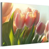 MuchoWow Aluminium schilderij 120x80 cm - Wanddecoratie metaal - Tulpen - Roze - Zonnestralen - Metalen muurdecoratie woonkamer - Decoratie industrieel - Foto op dibond - Industriële accessoires slaapkamer