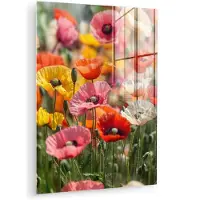 MuchoWow Glasschilderij 120x160 cm - Schilderij acrylglas - Bloemenveld - Klaprozen - Kleurrijk - Foto op glas - Muurdecoratie woonkamer - Wanddecoratie slaapkamer - Schilderijen