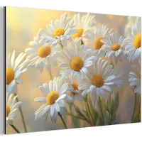 MuchoWow Aluminium schilderij 120x80 cm - Wanddecoratie metaal - Madeliefjes - Wit - Zonlicht - Metalen muurdecoratie woonkamer - Decoratie industrieel - Foto op dibond - Industriële accessoires slaapkamer