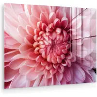 MuchoWow Glasschilderij 160x120 cm - Schilderij acrylglas - Dahlia - Bloem - Close up - Roze - Foto op glas - Muurdecoratie woonkamer - Wanddecoratie slaapkamer - Schilderijen