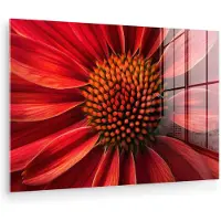 MuchoWow Glasschilderij 180x120 cm - Schilderij acrylglas - Close up - Bloem- Rood - Foto op glas - Muurdecoratie woonkamer - Wanddecoratie slaapkamer - Schilderijen