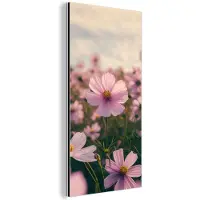 MuchoWow Aluminium schilderij 20x40 cm - Wanddecoratie metaal - Bloemen - Paars - Wazig - Metalen muurdecoratie woonkamer - Decoratie industrieel - Foto op dibond - Industriële accessoires slaapkamer