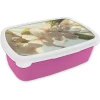 MuchoWow Broodtrommel Roze - Lunchbox Bloesems - Wit - Zonnestralen - Bloemblaadjes - Brooddoos 18x12x6 cm - Brood lunch box - Broodtrommels voor kinderen en volwassenen
