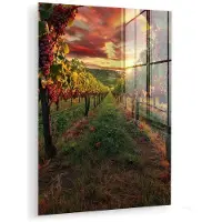 MuchoWow Glasschilderij 60x80 cm - Schilderij acrylglas - Wijngaard - Druiven - Zonsondergang - Foto op glas - Muurdecoratie woonkamer - Wanddecoratie slaapkamer - Schilderijen